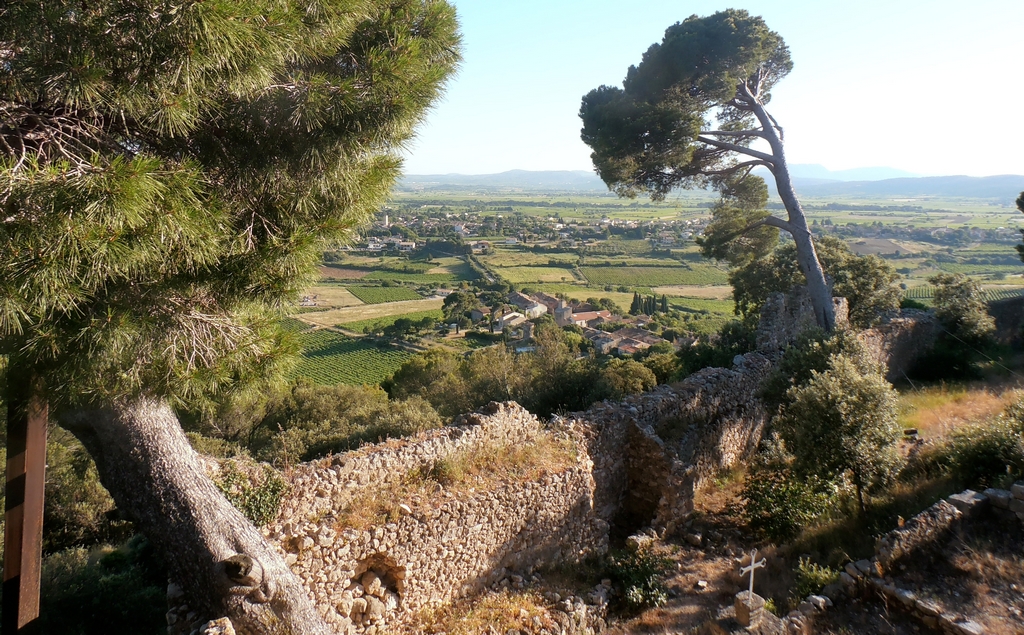 Languedoc larzac